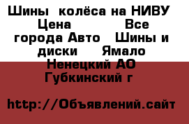 Шины, колёса на НИВУ › Цена ­ 8 000 - Все города Авто » Шины и диски   . Ямало-Ненецкий АО,Губкинский г.